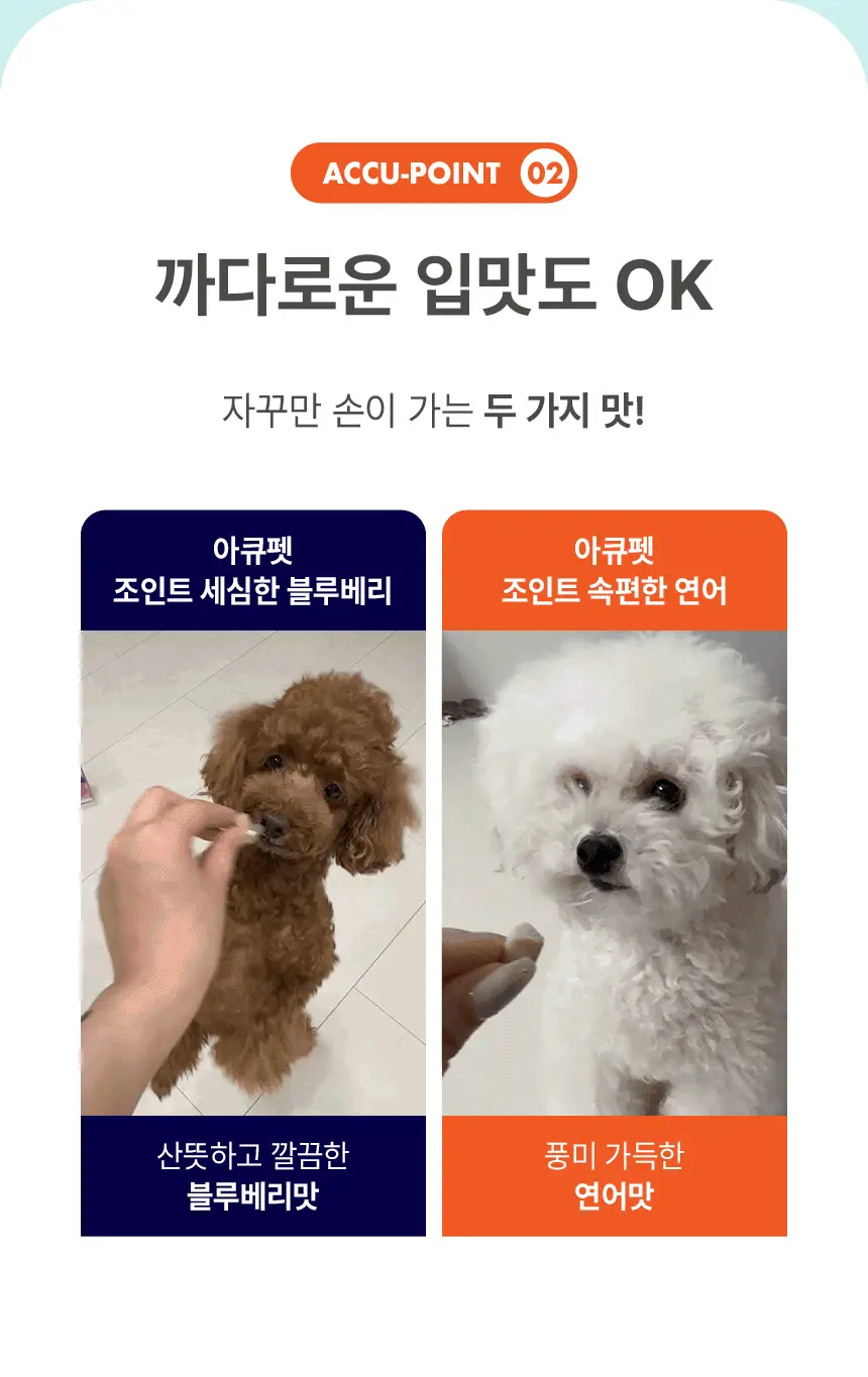 아큐펫 조인트 속편한 연어 L 상세 안내 3