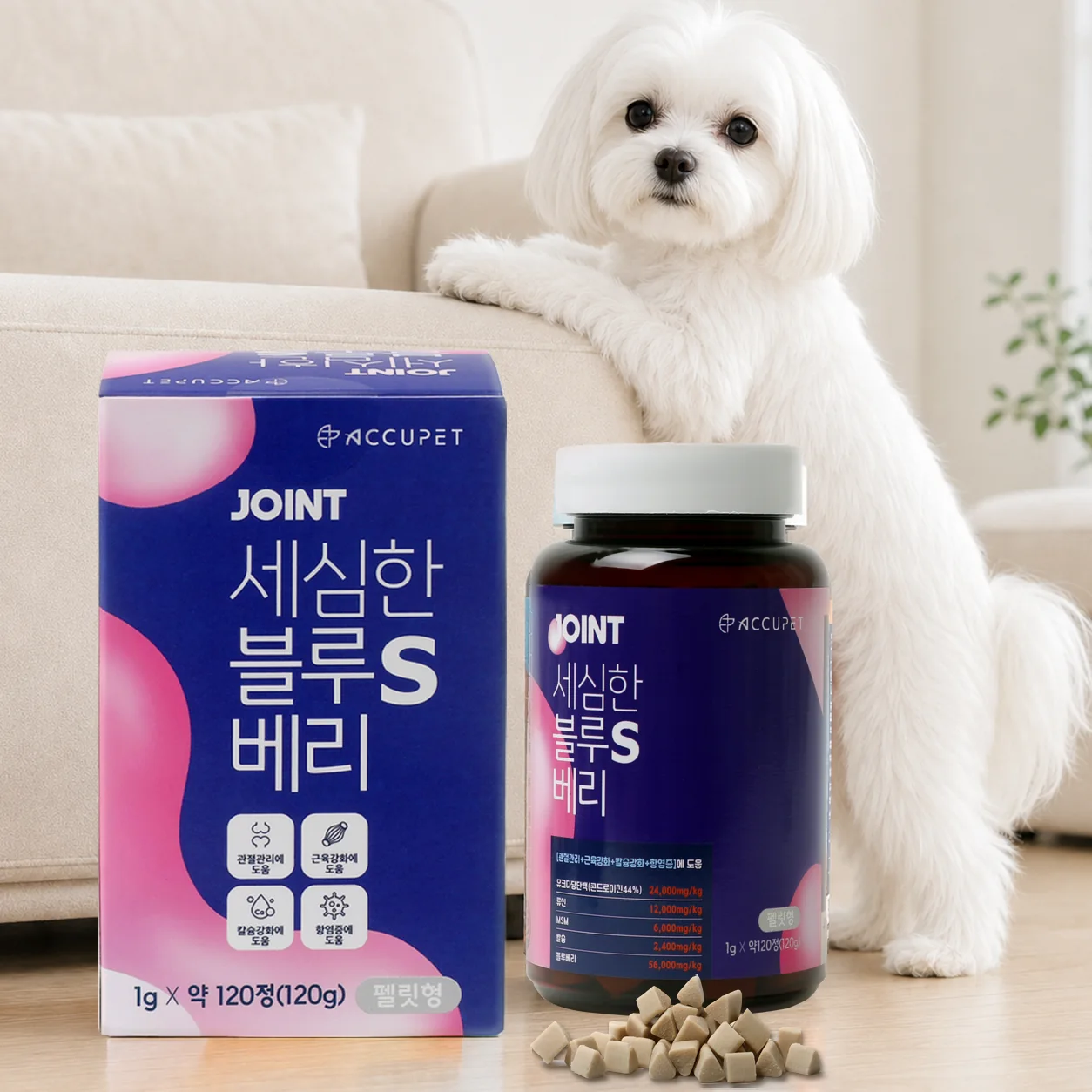 아큐펫 조인트 세심한 블루베리 S 제품 정면